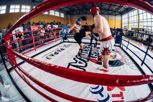 2 (216)
