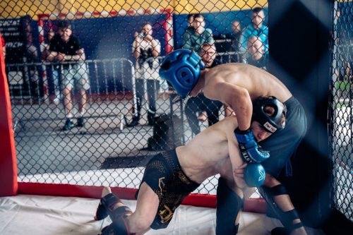 3 (213)